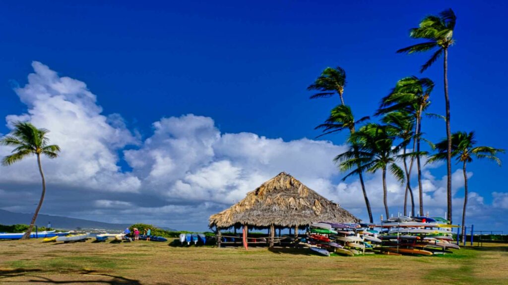 Kahului Spray Foam Insulation